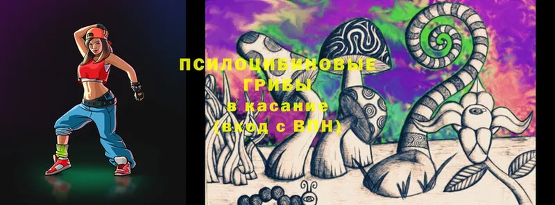 omg рабочий сайт  Кинель  Псилоцибиновые грибы MAGIC MUSHROOMS 